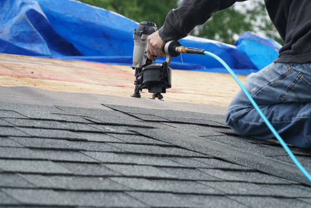 Best Roof Gutter Cleaning  in Highland, AR